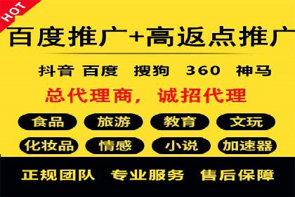 百度竞价广告投放全解析：成功案例揭秘