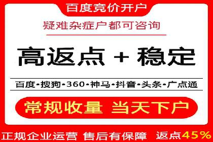 某知名企业SEM营销全案解析